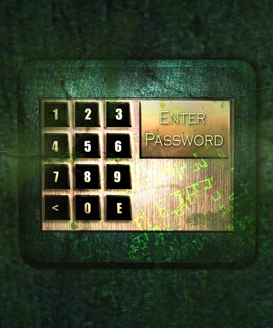 Enter Password to access